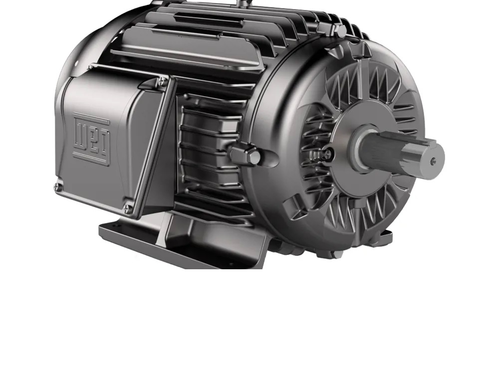 Electric Vehicle Motors