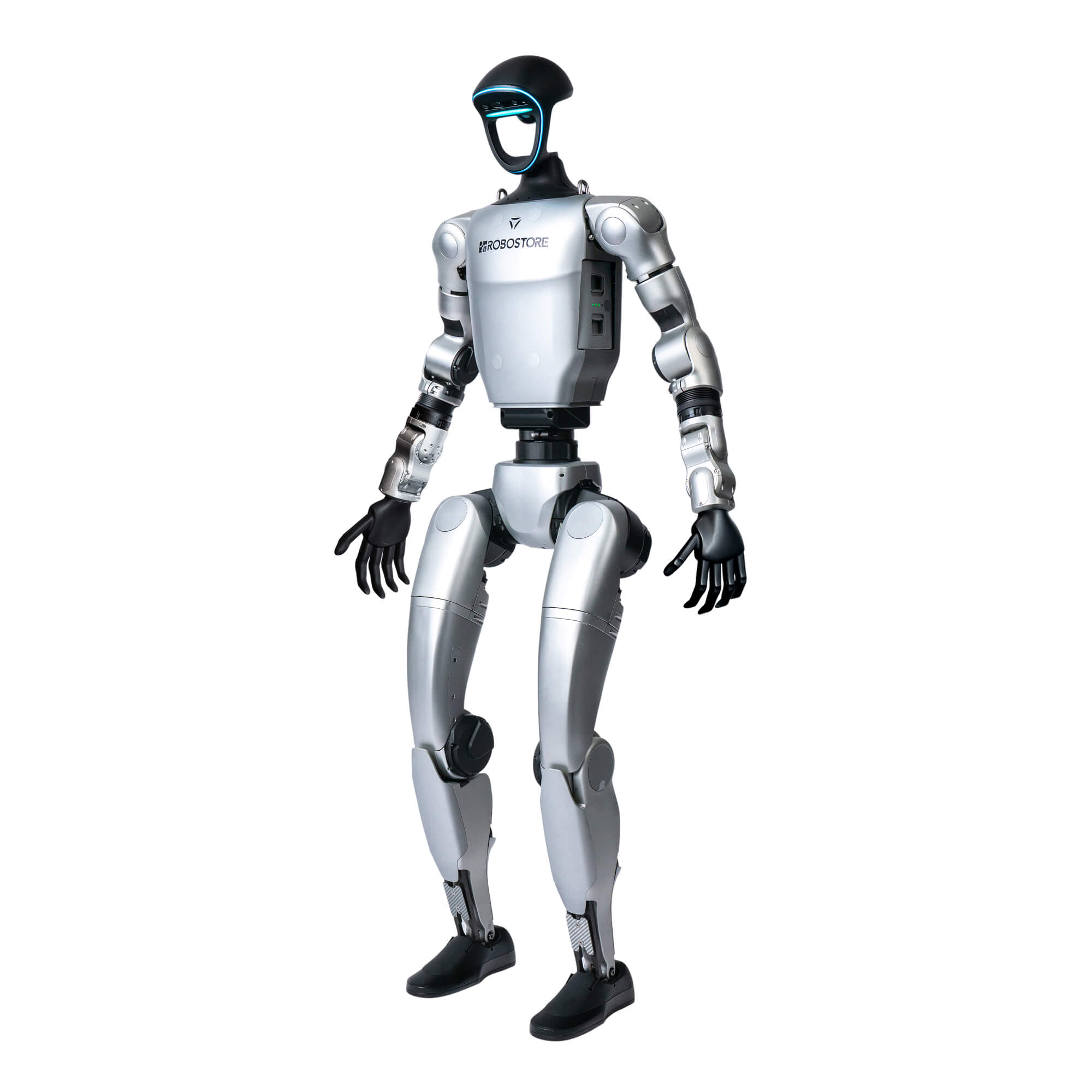 Humanoid Robots